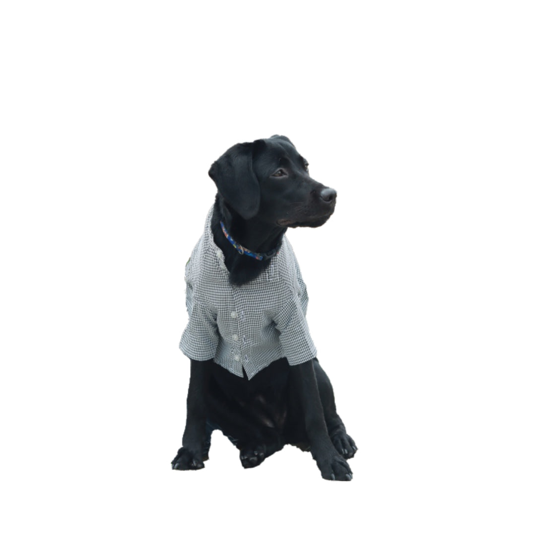 Petvisie's "Pety Looks" Black and White Checkered Pet Shirt with Buttons